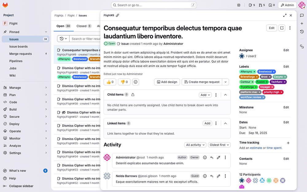 Issue opened in a panel covering part of the Issues panel.